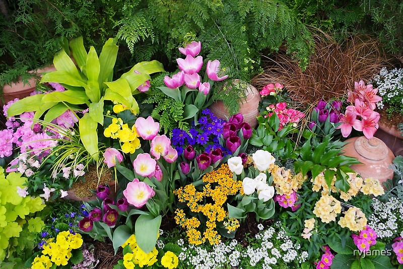 "Floral Spectacular Olbrich Botanical Gardens Spring Flower Show