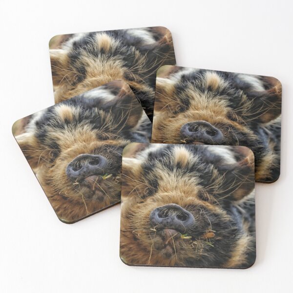 Item preview, Kunekune pig - part 1 designed and sold by Jellycandy.
