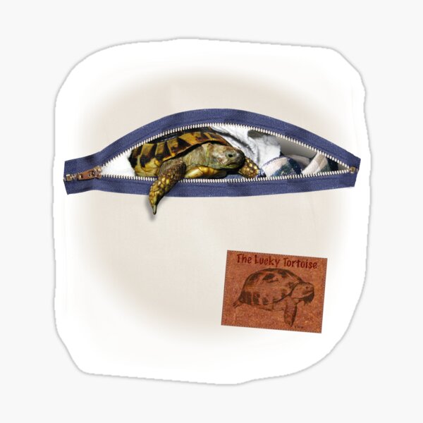 Tortoise Crawling Out of a Zipper Sticker