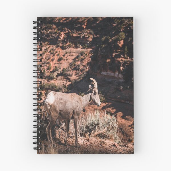 Item preview, Desert Bighorn Sheep designed and sold by JLPhotographer.