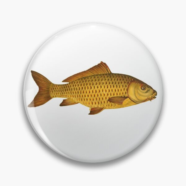 Item preview, Vintage carp illustration design  designed and sold by TrippyEarth.