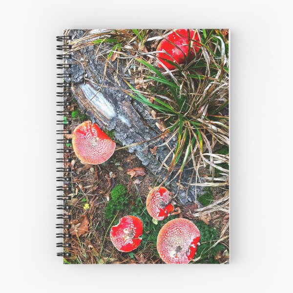 Item preview, Amanitas mushrooms in a Swiss forest designed and sold by Michael Brewer.
