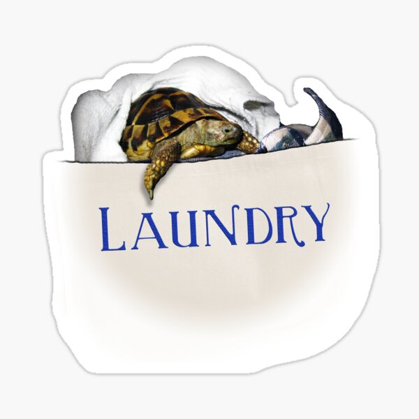 Tortoise Laundry Bag Sticker