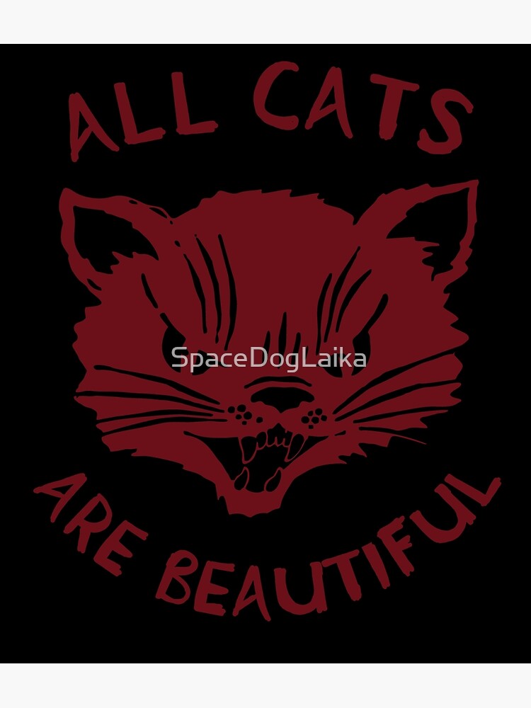 Quelles sont les races de chats les plus intelligentes