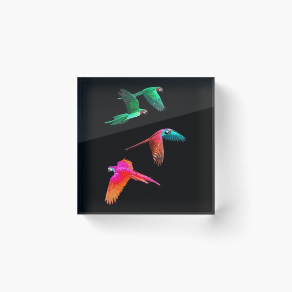 Surreal Macaw Parrots Acrylic Block