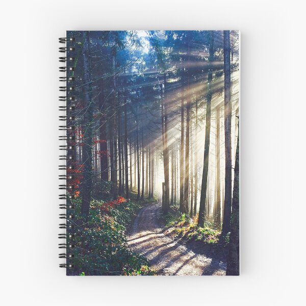 Item preview, A path running past sun beams in the mist in a Swiss forest designed and sold by Michael Brewer.