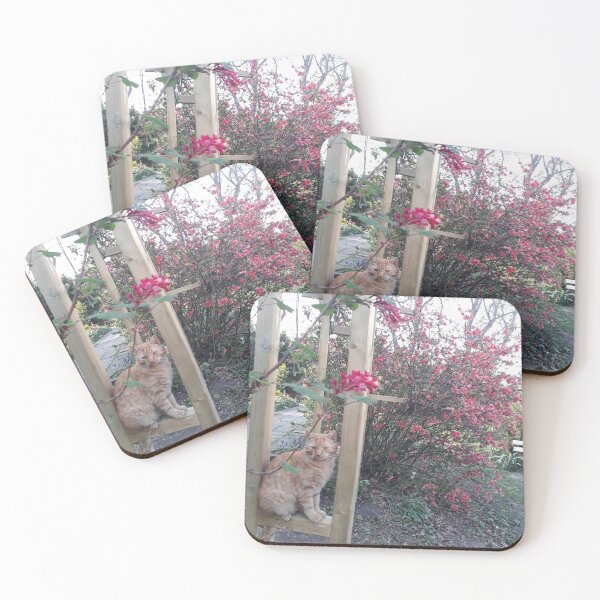 Item preview, Red cat in the spring garden. designed and sold by UnsereWelt.