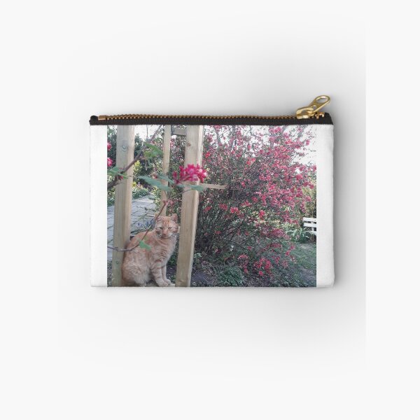 Item preview, Red cat in the spring garden. designed and sold by UnsereWelt.