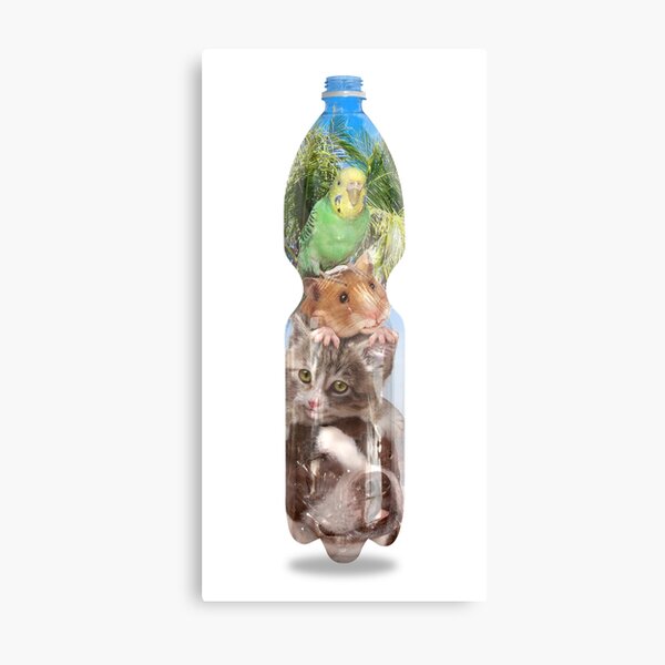 Hermetic Lockdown der Strandmusikanten in a PET-bottle by Leo Haz Metallbild