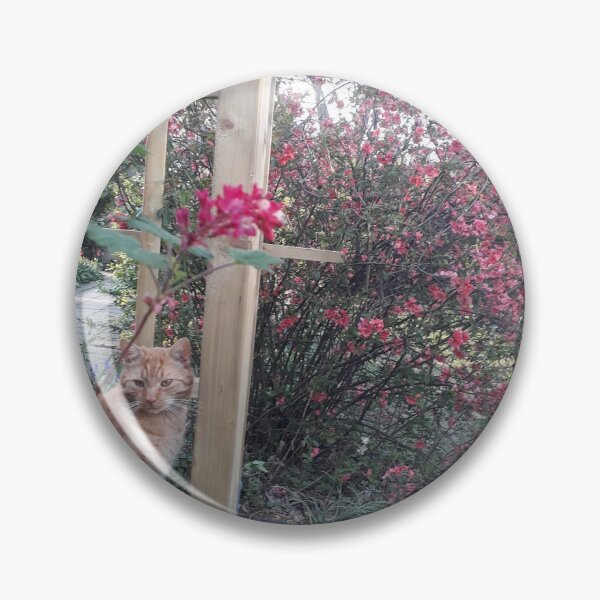 Item preview, Red cat in the spring garden. designed and sold by UnsereWelt.