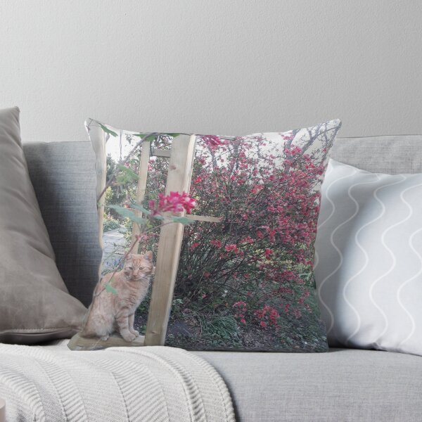 Item preview, Red cat in the spring garden. designed and sold by UnsereWelt.