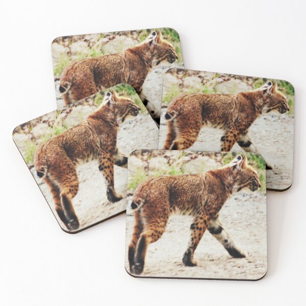 Item preview, Seldom Seen Bobcat designed and sold by Jean Gregory Evans.