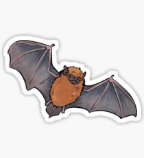 Pipistrelle Sticker