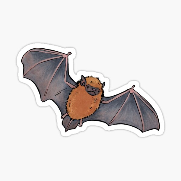 Cute Bat Stickers Redbubble