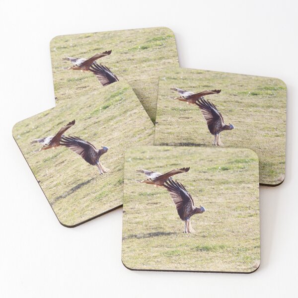 Item preview, Fighting red kites birds designed and sold by chanonry.