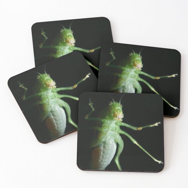 Item preview, Katydid Portrait designed and sold by Jean Gregory Evans.