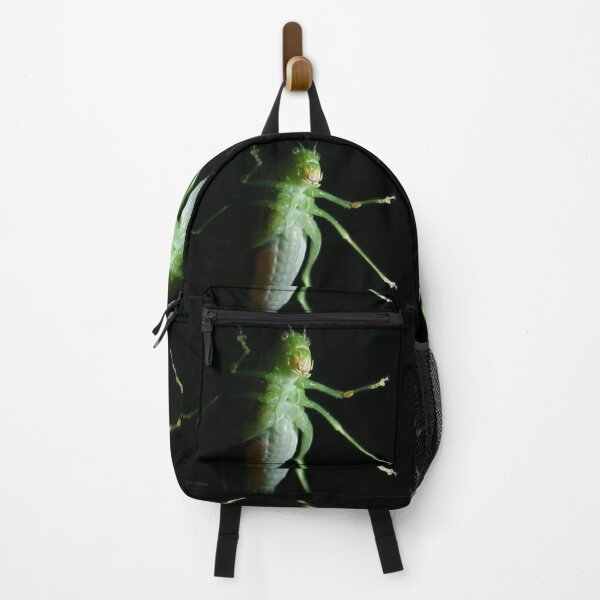 Item preview, Katydid Portrait designed and sold by Jean Gregory Evans.
