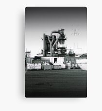 urban monster Canvas Print