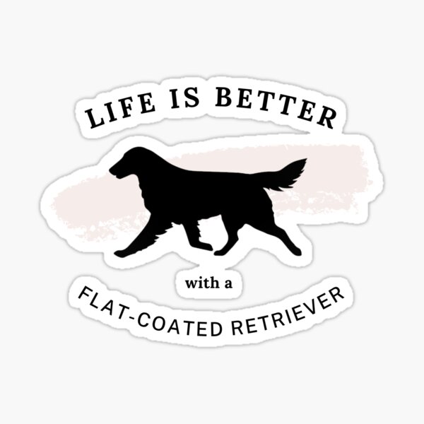 Vista previa del artículo con la obra «Perro perdiguero de pelo liso | La vida es mejor», diseñado y vendido por flatcoatfamily.