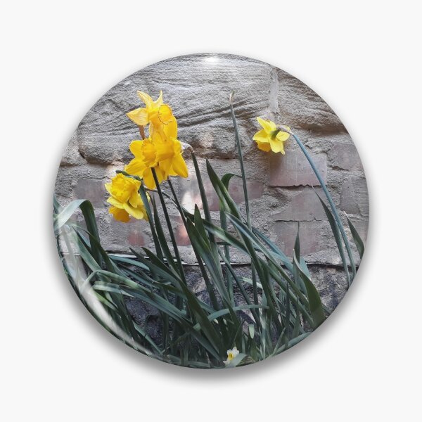 Item preview, Spring, daffodils on the wall designed and sold by UnsereWelt.