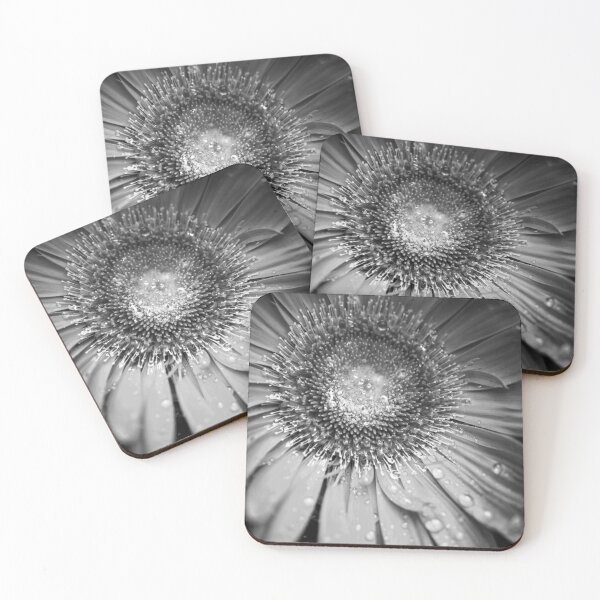 Item preview, Gerber Daisy designed and sold by Ashley Gelhaus.