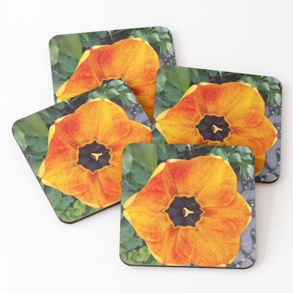 Item preview, Tulip like the sun designed and sold by UnsereWelt.