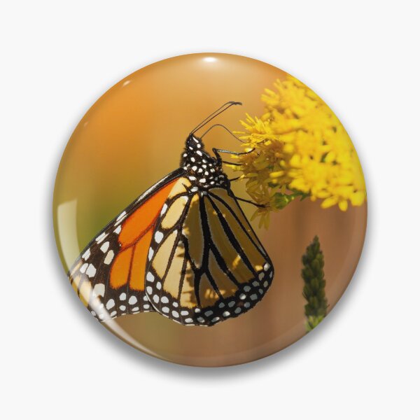 Item preview, Monarch Butterfly 2013-2 designed and sold by Thomasyoung.