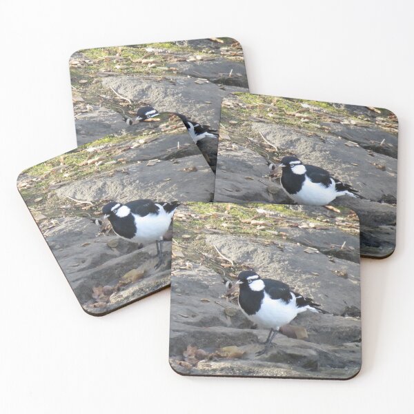 Item preview, Magpie lark designed and sold by greentiger1.