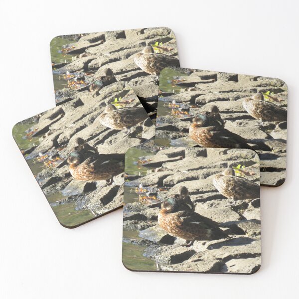 Item preview, Three chestnut teals designed and sold by greentiger1.