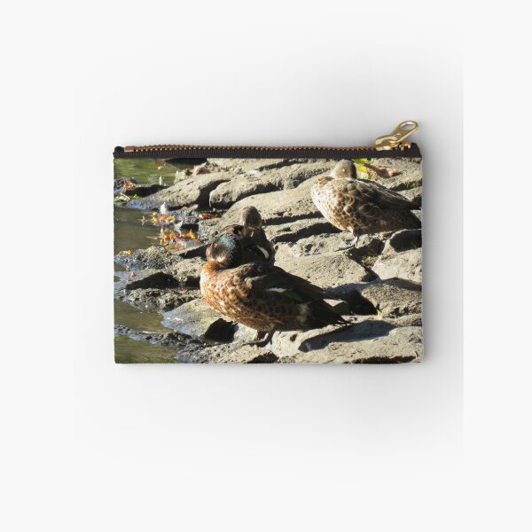 Item preview, Three chestnut teals designed and sold by greentiger1.