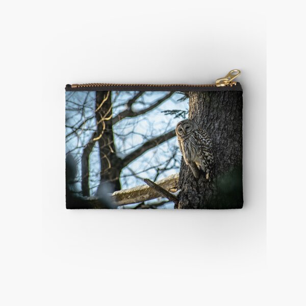 Item preview, Barred Owl #1 designed and sold by Imalairdphotos.