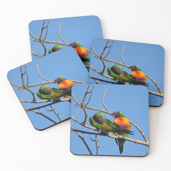 Item preview, Two rainbow lorikeets designed and sold by greentiger1.