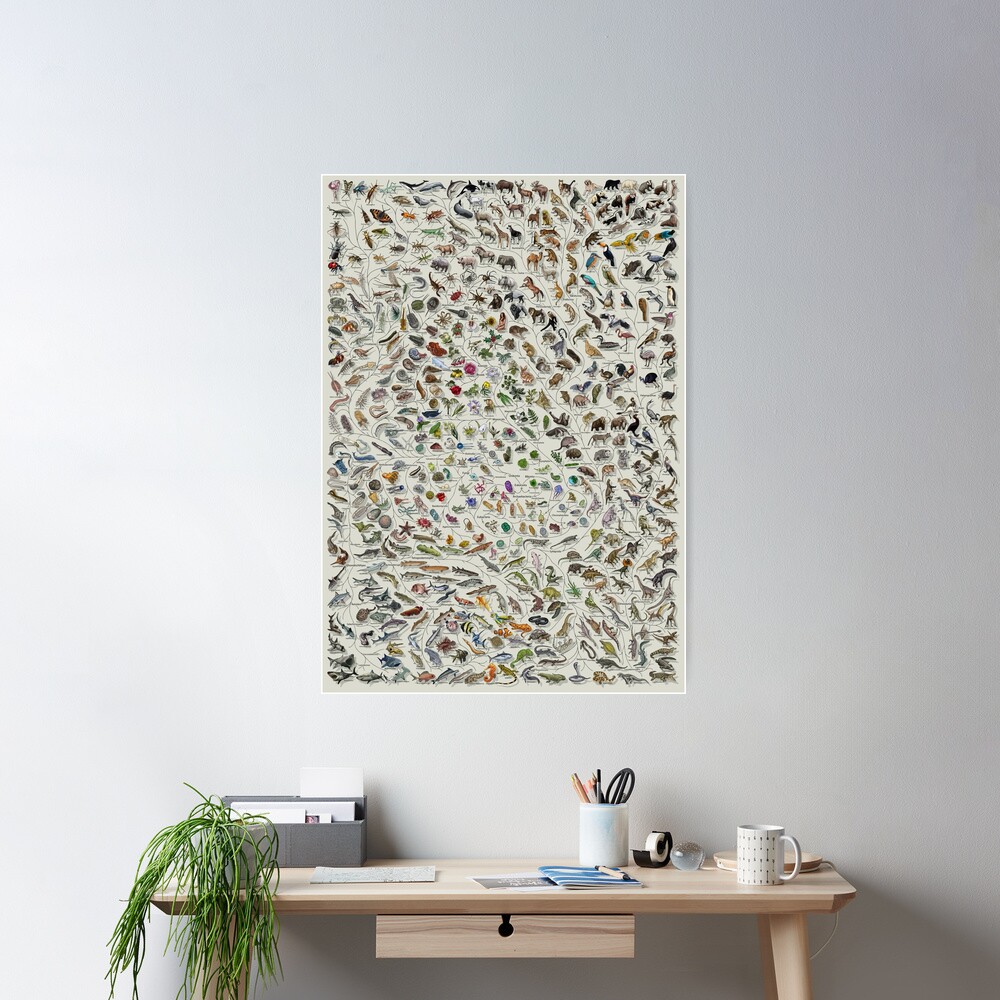 Tree of Life Poster - Animal and Plant Evolution - Colour (Scientific Annotations others available) Grey Poster