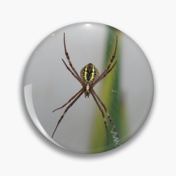 Item preview, St Andrew's cross spider designed and sold by greentiger1.