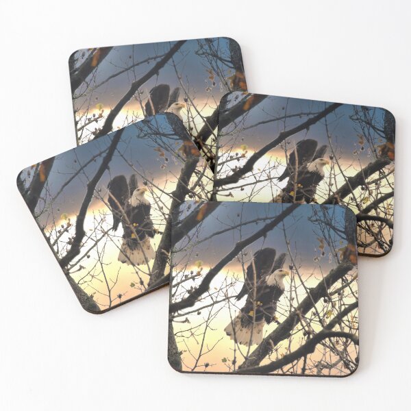 Item preview, Conowingo Dam Bald Eagle designed and sold by KDartisticeye.