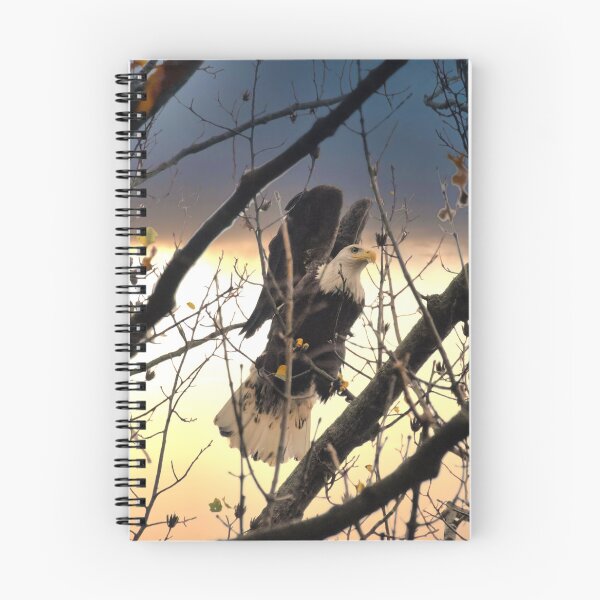 Item preview, Conowingo Dam Bald Eagle designed and sold by KDartisticeye.