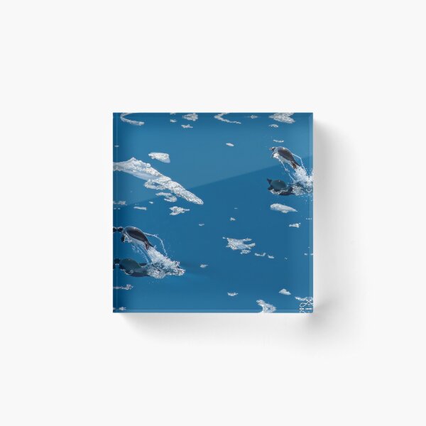 Item preview, Flying Penguins designed and sold by Andrew Dickman.
