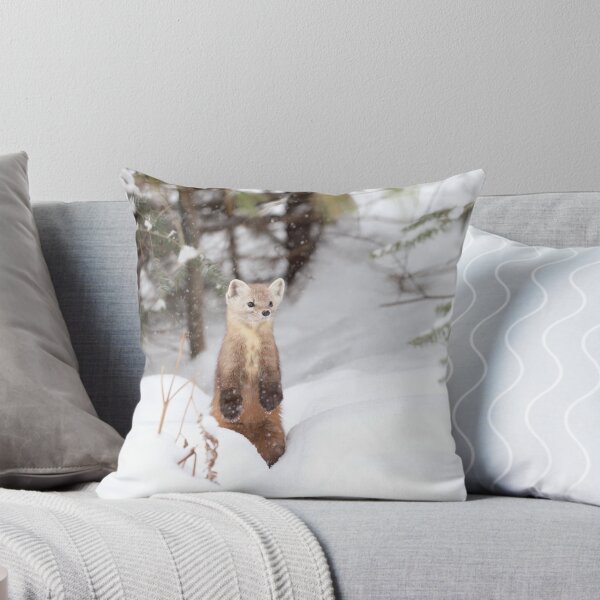 Item preview, American Marten designed and sold by mlorenz.