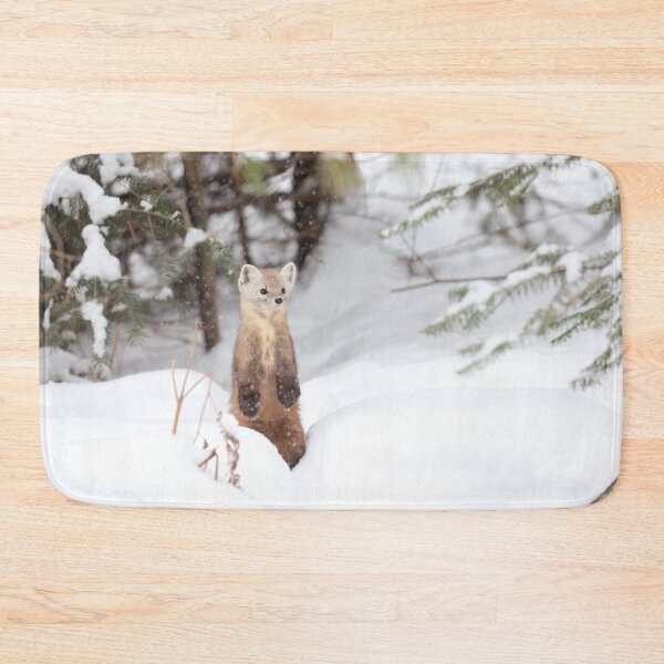 Item preview, American Marten designed and sold by mlorenz.