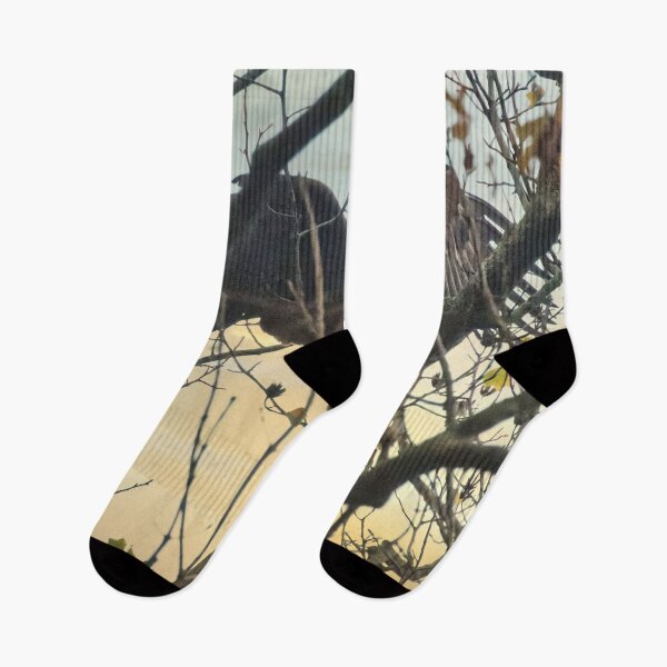 Item preview, Bald Eagle landing in tree designed and sold by KDartisticeye.