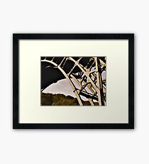Ironbridge Structure Framed Print