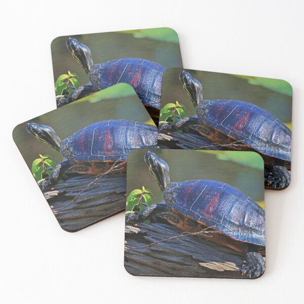 Item preview, A Turtle at Six Mile designed and sold by Michiale.