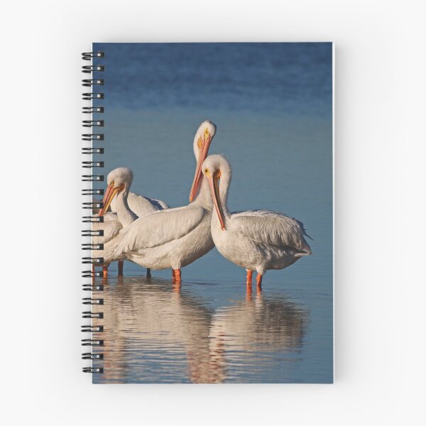 Item preview, A Sizzling Connection designed and sold by Michiale.