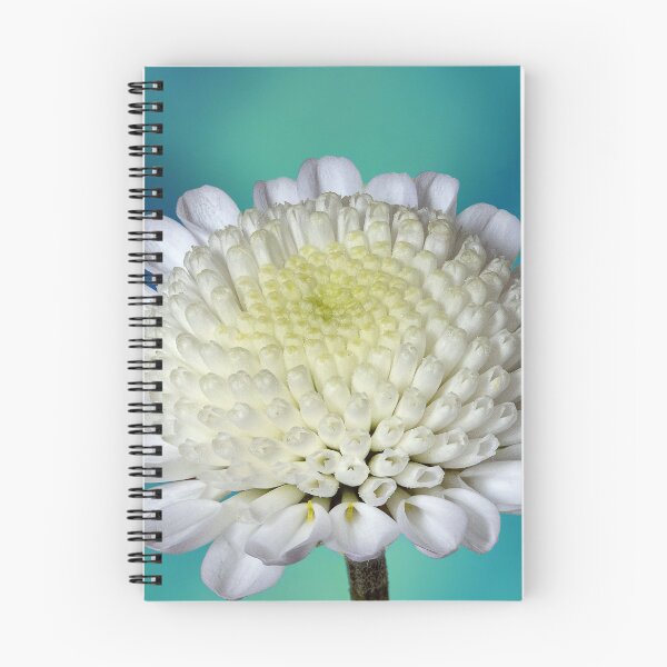 Item preview, chrysanthemum designed and sold by della95.