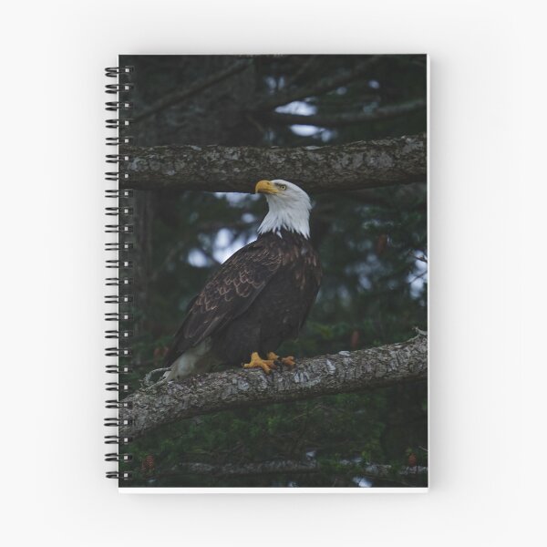 Item preview, Eagle in Tree designed and sold by Soaringcliff.