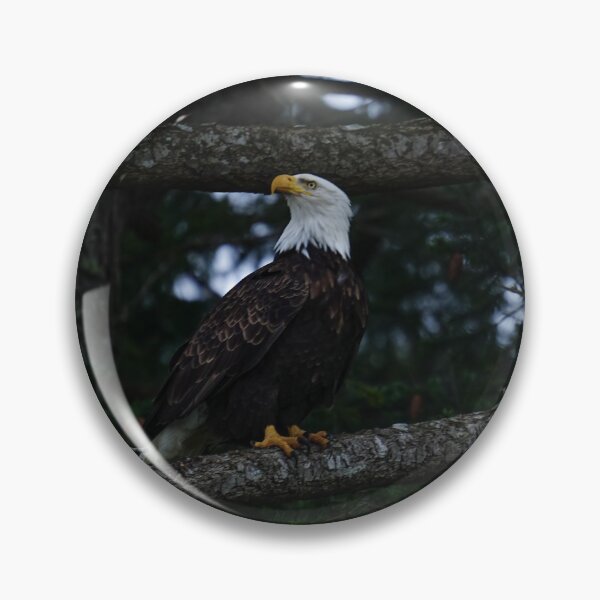 Item preview, Eagle in Tree designed and sold by Soaringcliff.