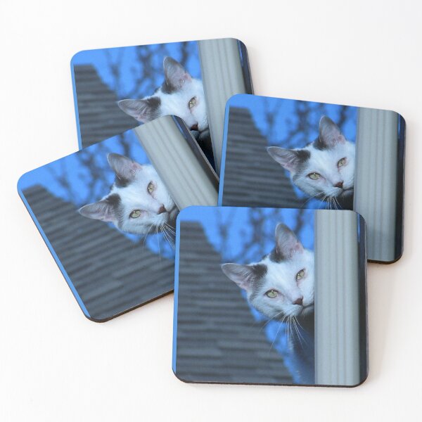 Item preview, Ello There designed and sold by Vince Scaglione.