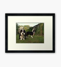 Two's Company. Framed Print