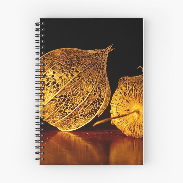 Item preview, Chinese Lantern Seed Pods designed and sold by Gabrielle  Lees.