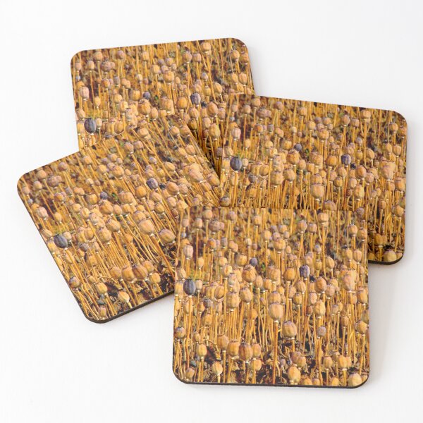 Item preview, Crop Circles in Poppy Fields, Tasmania designed and sold by Gabrielle  Lees.